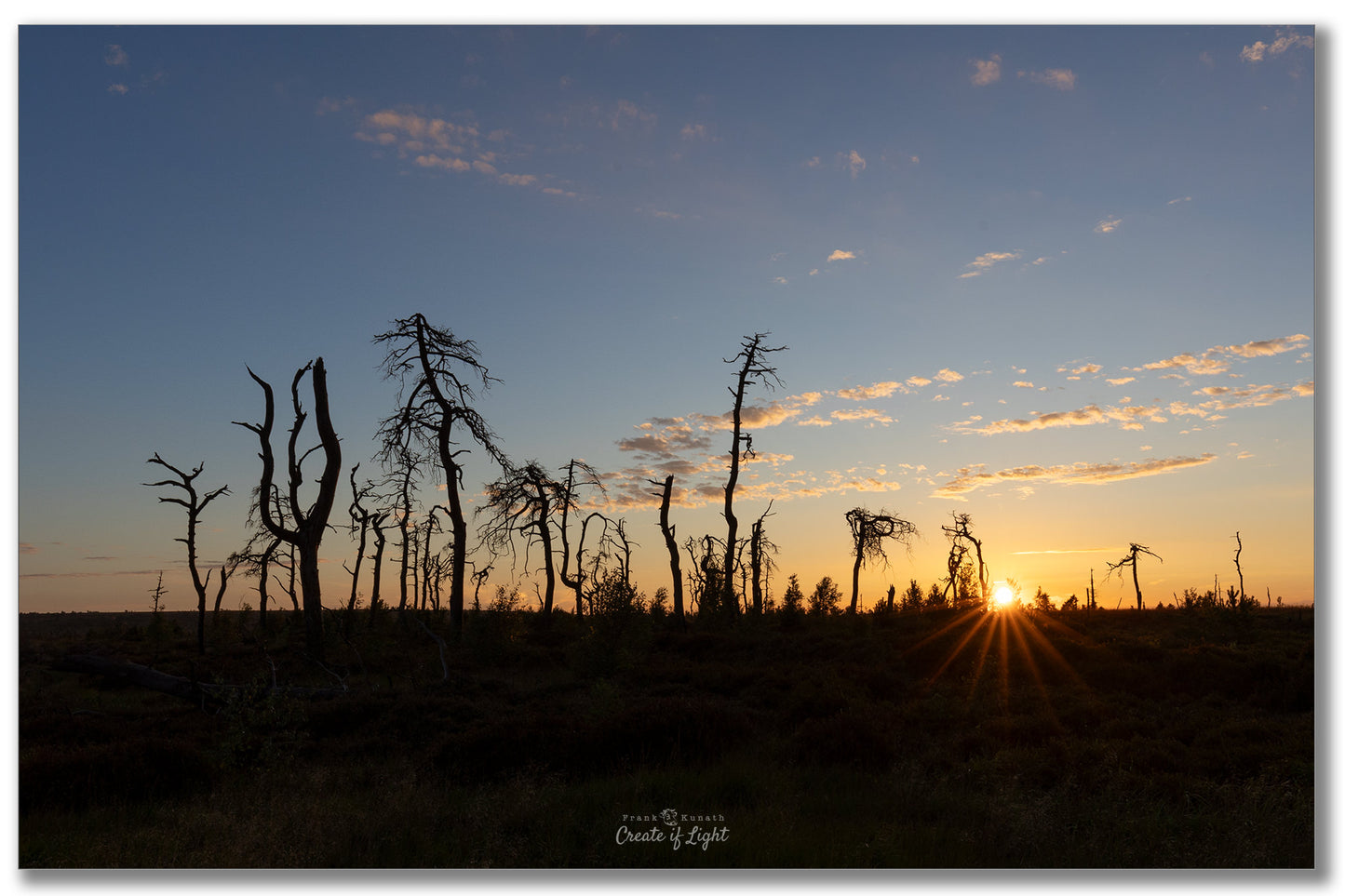 Fototour Hohes Venn im Sommer 2026