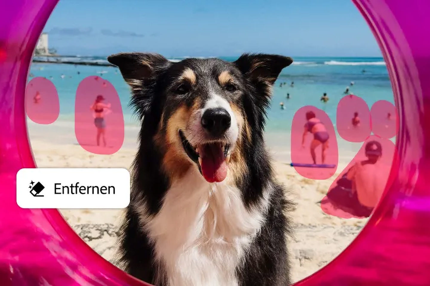 Workshop Adobe Lightroom für Anfänger