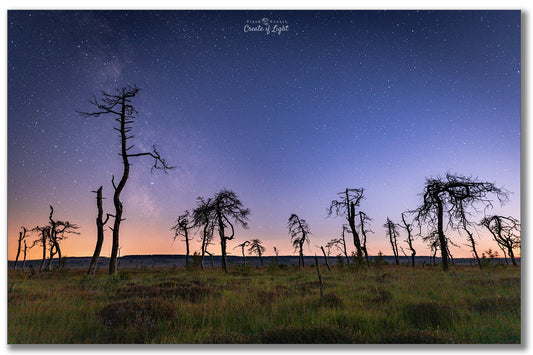 Fototour Hohes Venn im Sommer 2026