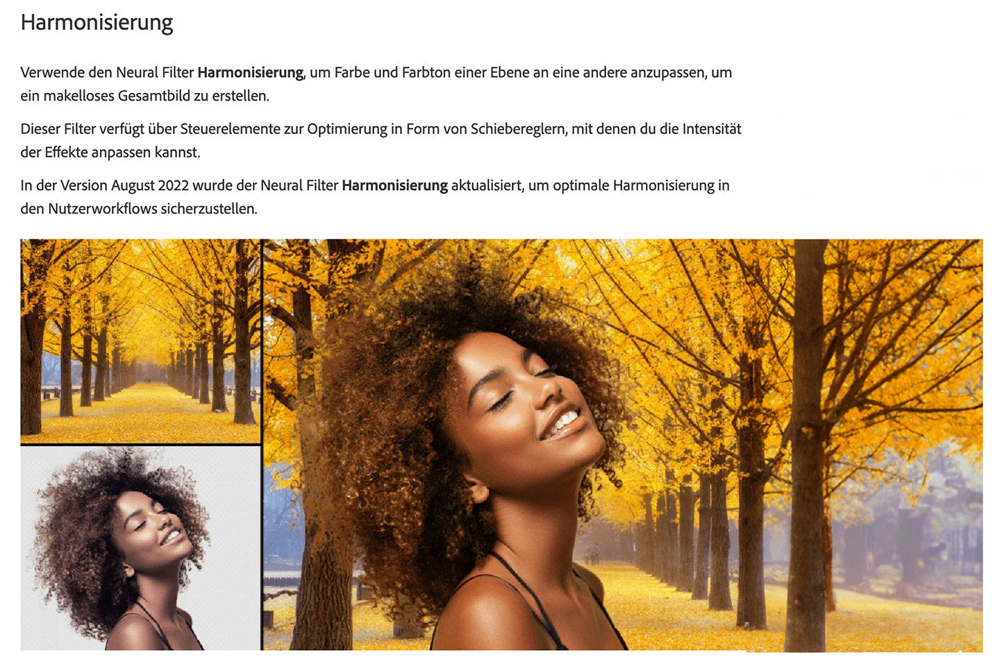 Workshop Adobe Photoshop für Anfänger