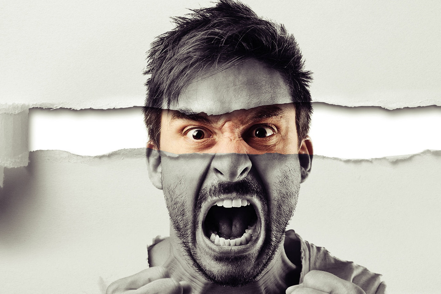 Workshop Adobe Photoshop für Anfänger