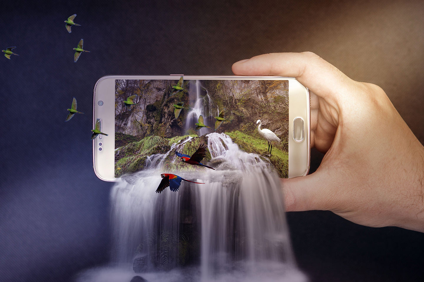 Workshop Adobe Photoshop für Anfänger