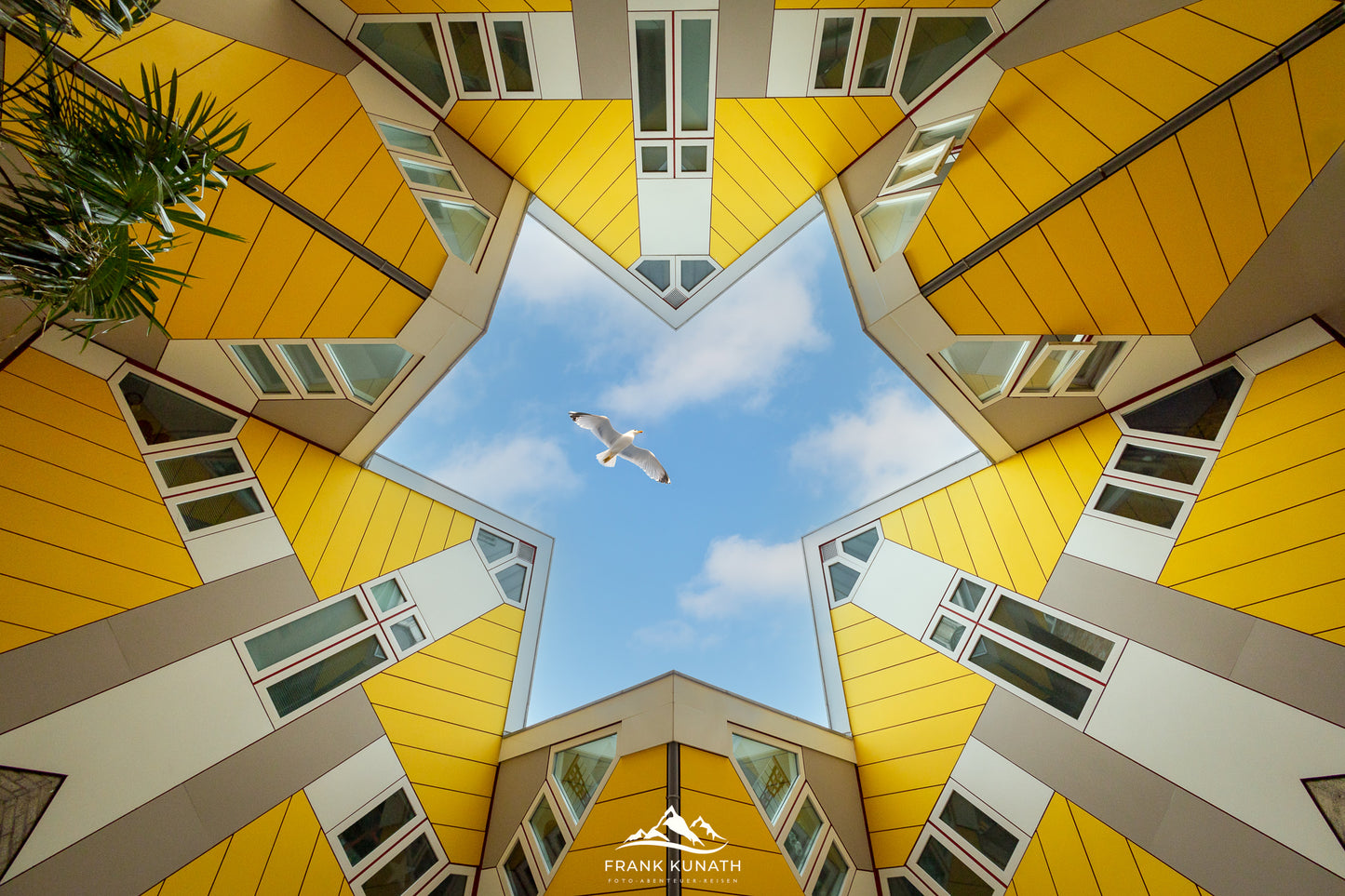 Fototour Rotterdam 2026