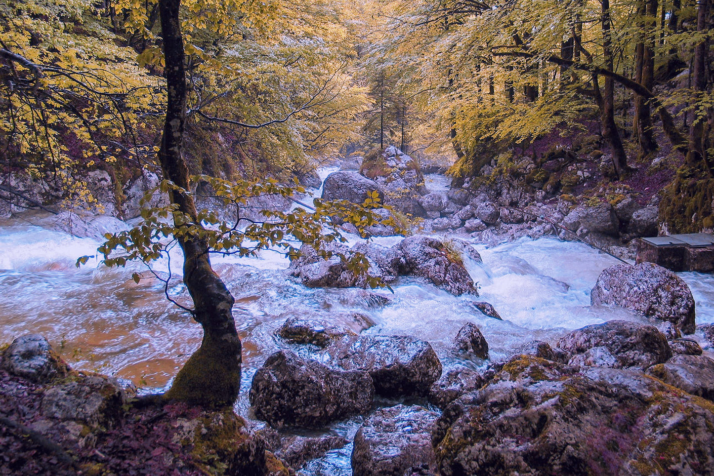 Fotoreise Slowenien 2026