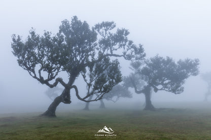 Fotoreise Madeira 2026