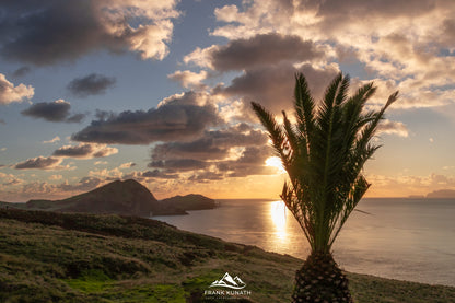 Fotoreise Madeira 2026