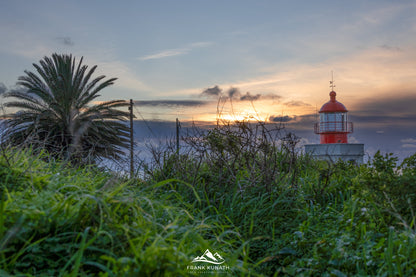 Fotoreise Madeira 2026